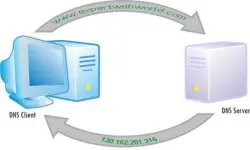 How to flush DNS?