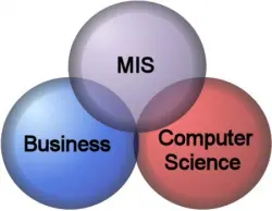 Management Information System