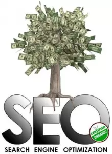 What is SEO and SEM for website?