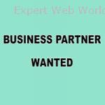 Looking for a business  partner