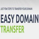 How to Transfer a Domain Name to other registrar