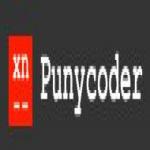 Punycode converter for IDN domains in Cpanel