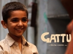 Gattu Children's Film Society, India , Mohammad Samad as 'Gattu'