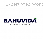 bahuvida limited