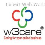 W3care custom logo design services