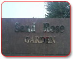 Sand Rose Garden