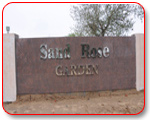 Sand Rose Garden
